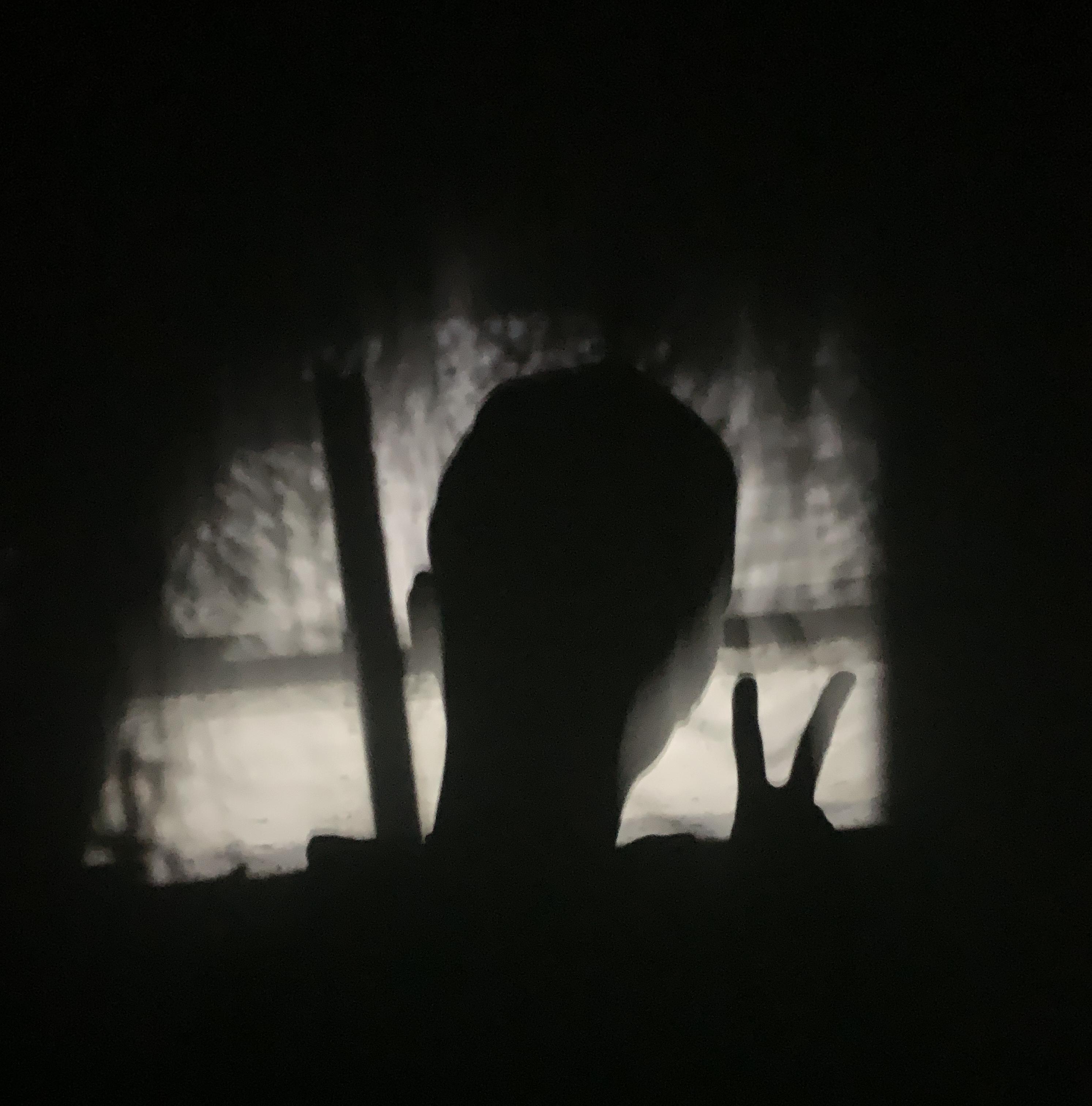 不作不伤
