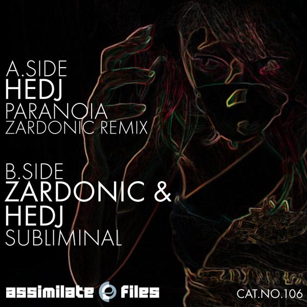 Subliminal / Paranoia (Remix)