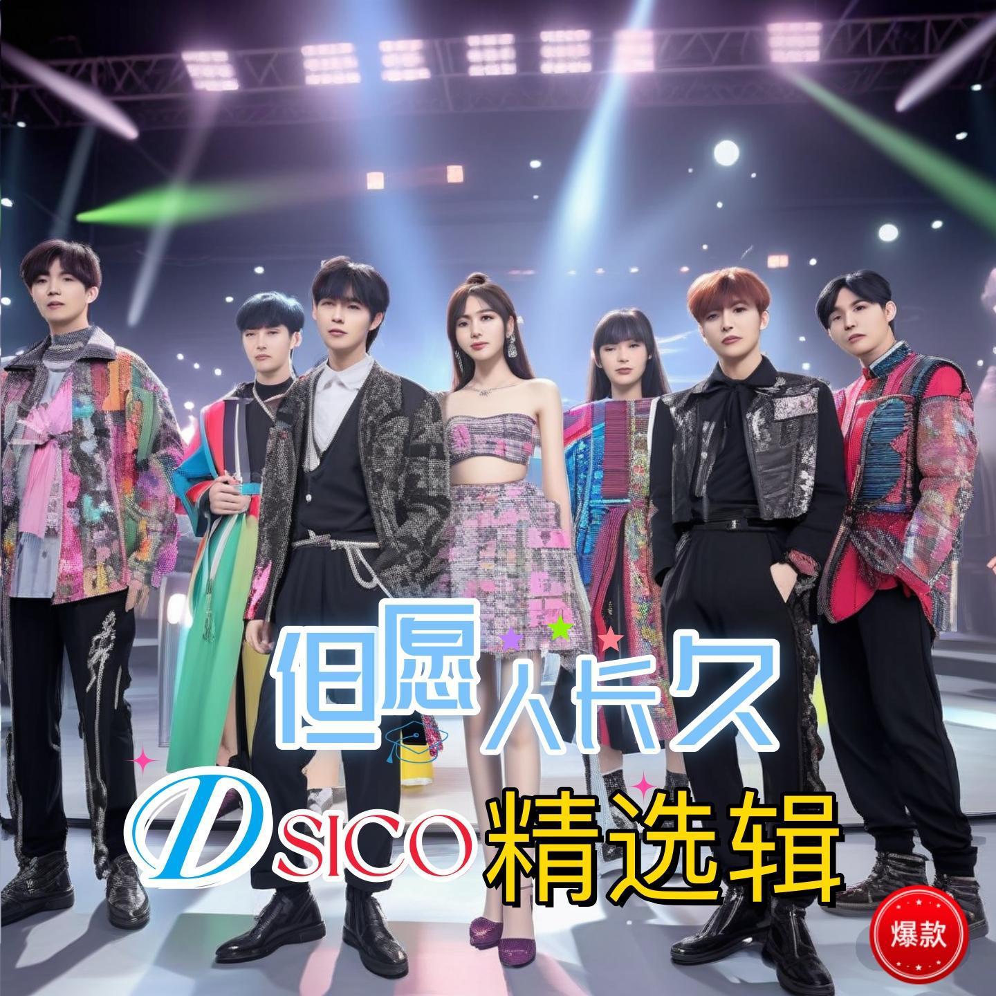 但愿人长久DISCO精选辑