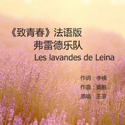 致青春
