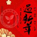 过新年