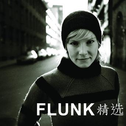 Best of Flunk专辑