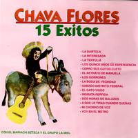 Chava Flores - Los Gorrones (karaoke)