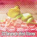 20 Serene in Mind Storms