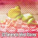 20 Serene in Mind Storms专辑