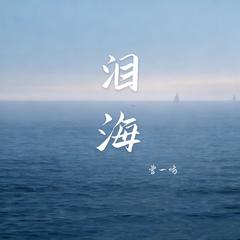 泪海
