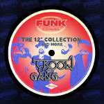 The 12" Collection And More (Funk Essentials)专辑