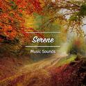 #15 Serene Music Sounds for Meditation and Sleep专辑