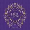 Cabin Fever专辑