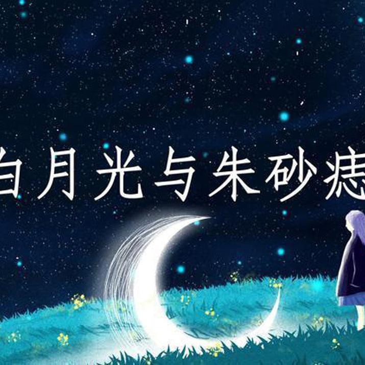 白月光与朱砂痣