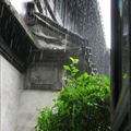 下完这场雨