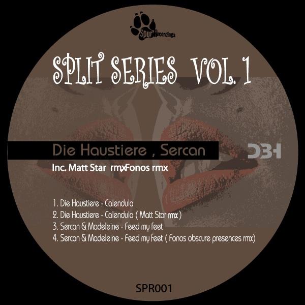 Split Series Vol.1