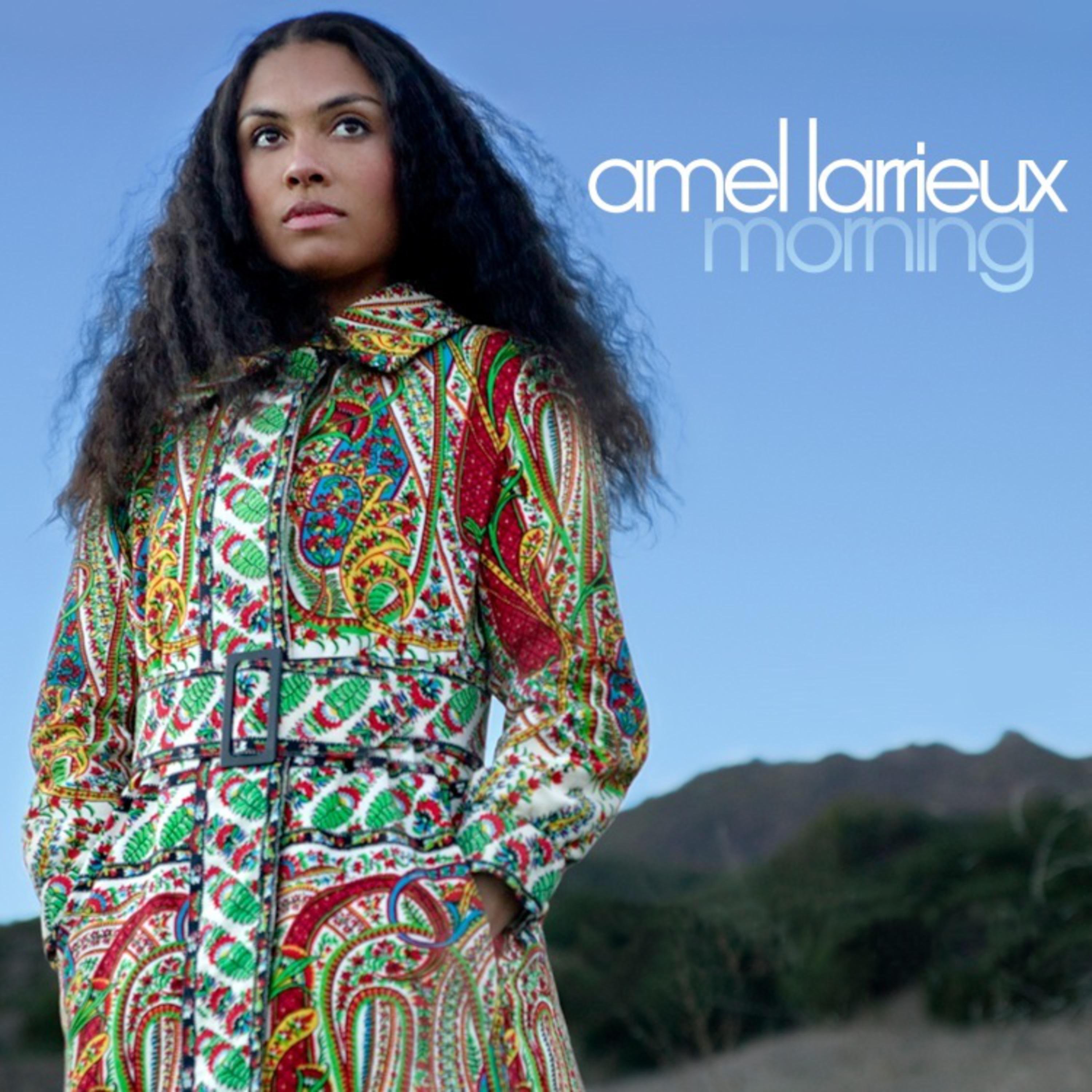 Amel Larrieux - Trouble