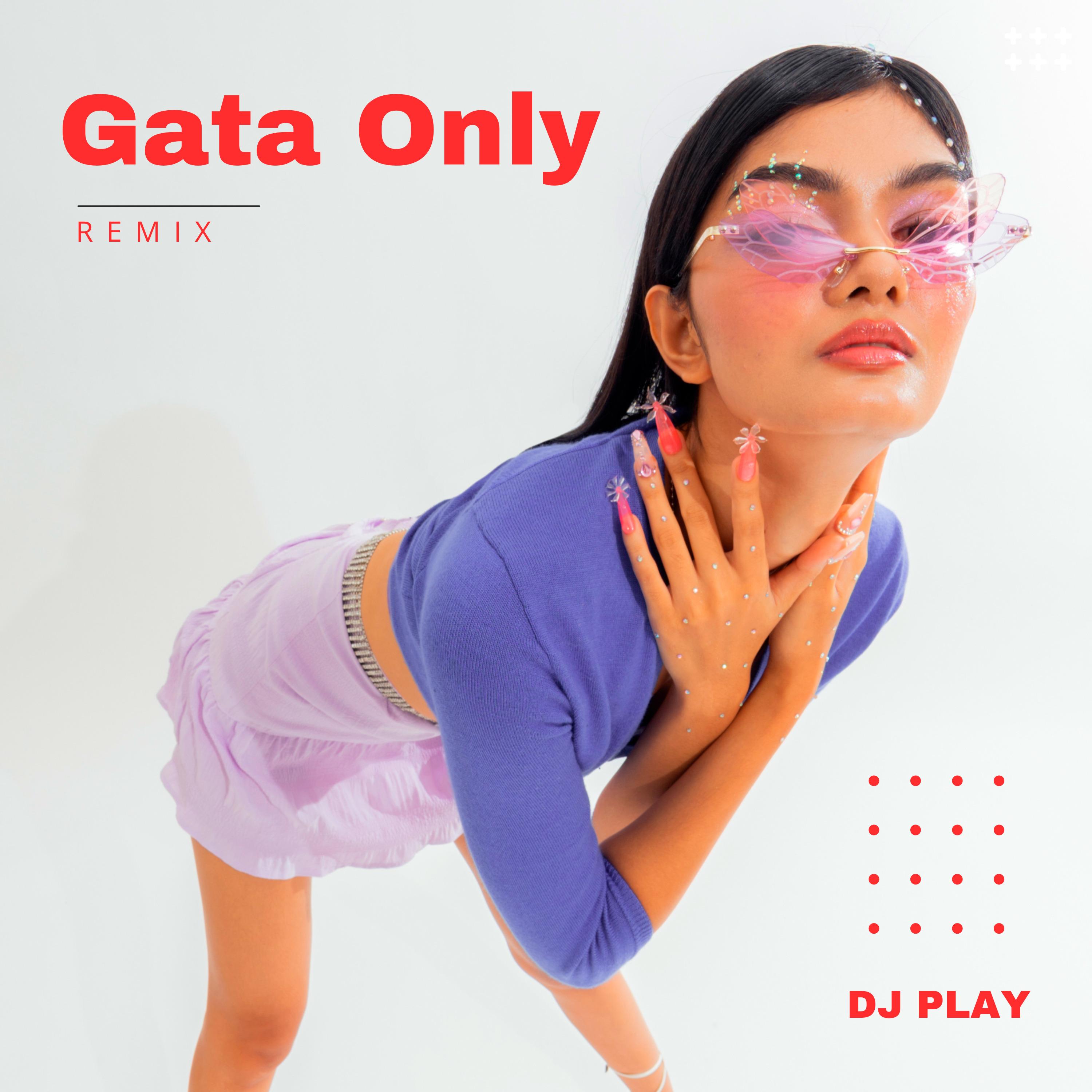 Gata Only (Remix)