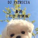 DJ PATRICIA 毒药 1.2 升调版专辑