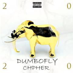 Dumbofly 2020 Cypher