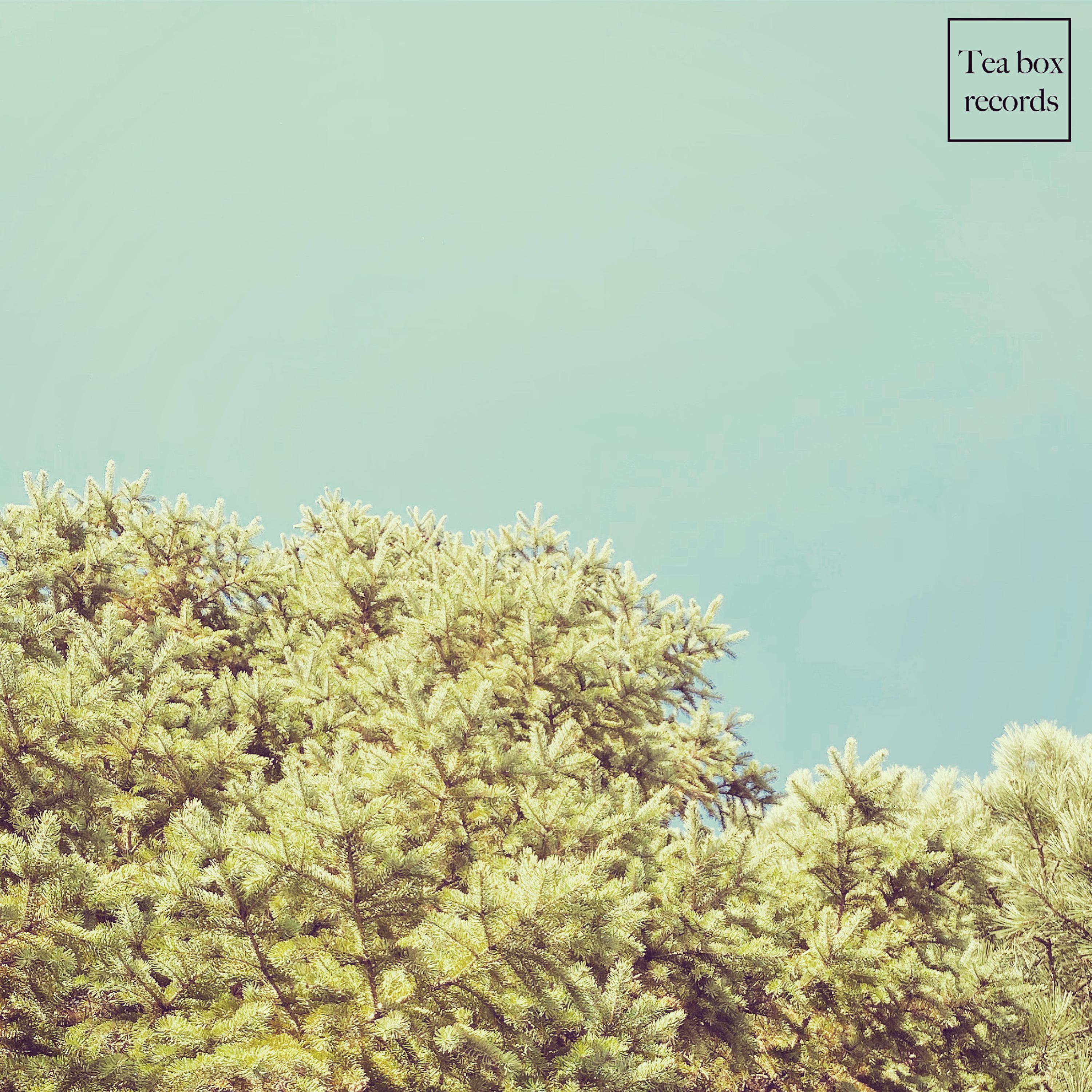 Arbres