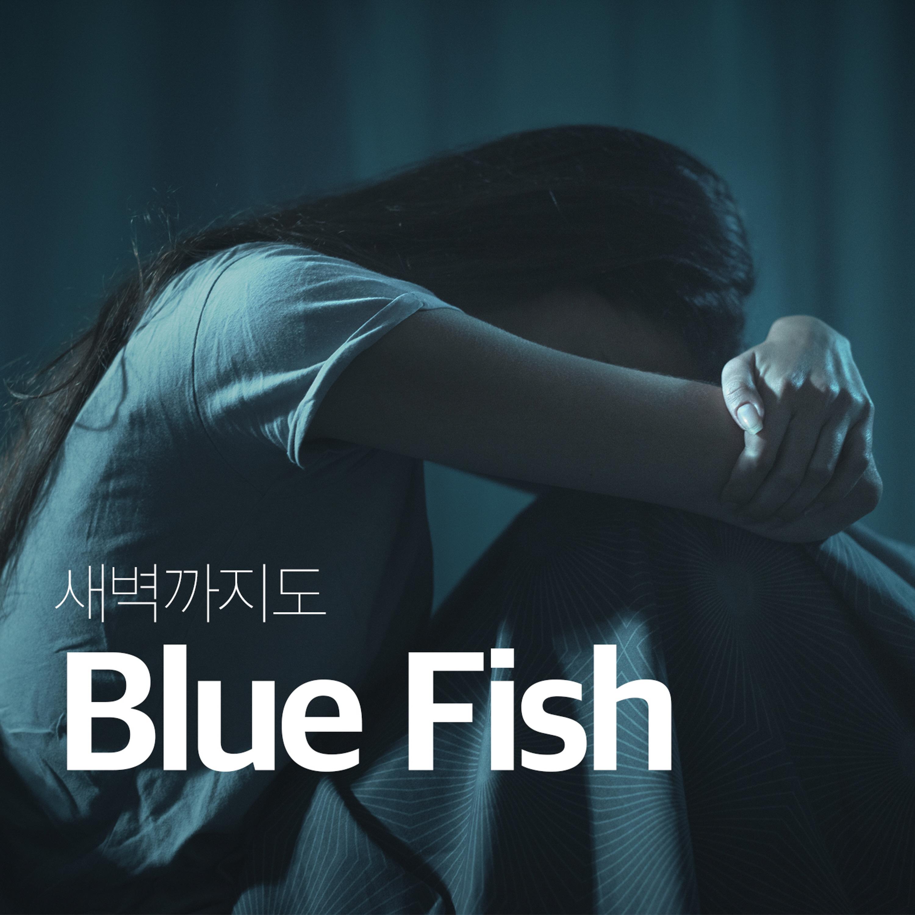 Blue Fish - 새벽까지도 (feat. 루피나)