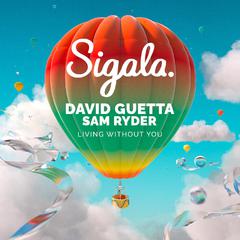 Sigala,David Guetta《Living Without You吉他谱》D调_旋律沁人心脾