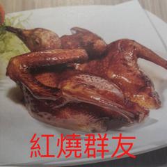 鸽子（翻自 洛天依）