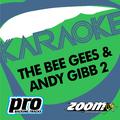 Zoom Karaoke - The Bee Gees & Andy Gibb 2