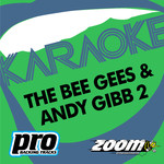 Zoom Karaoke - The Bee Gees & Andy Gibb 2专辑