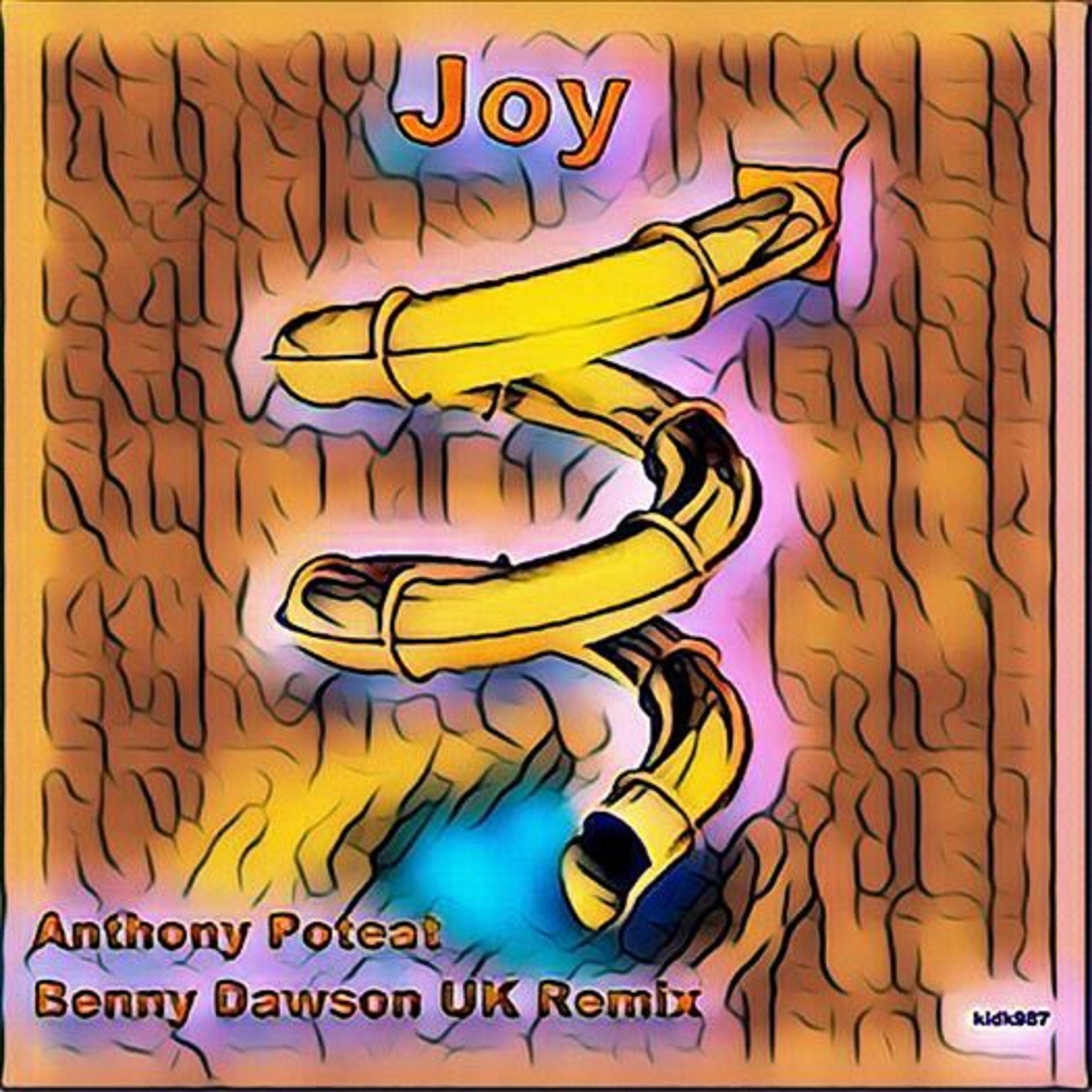 Joy (Reprise Mix)
