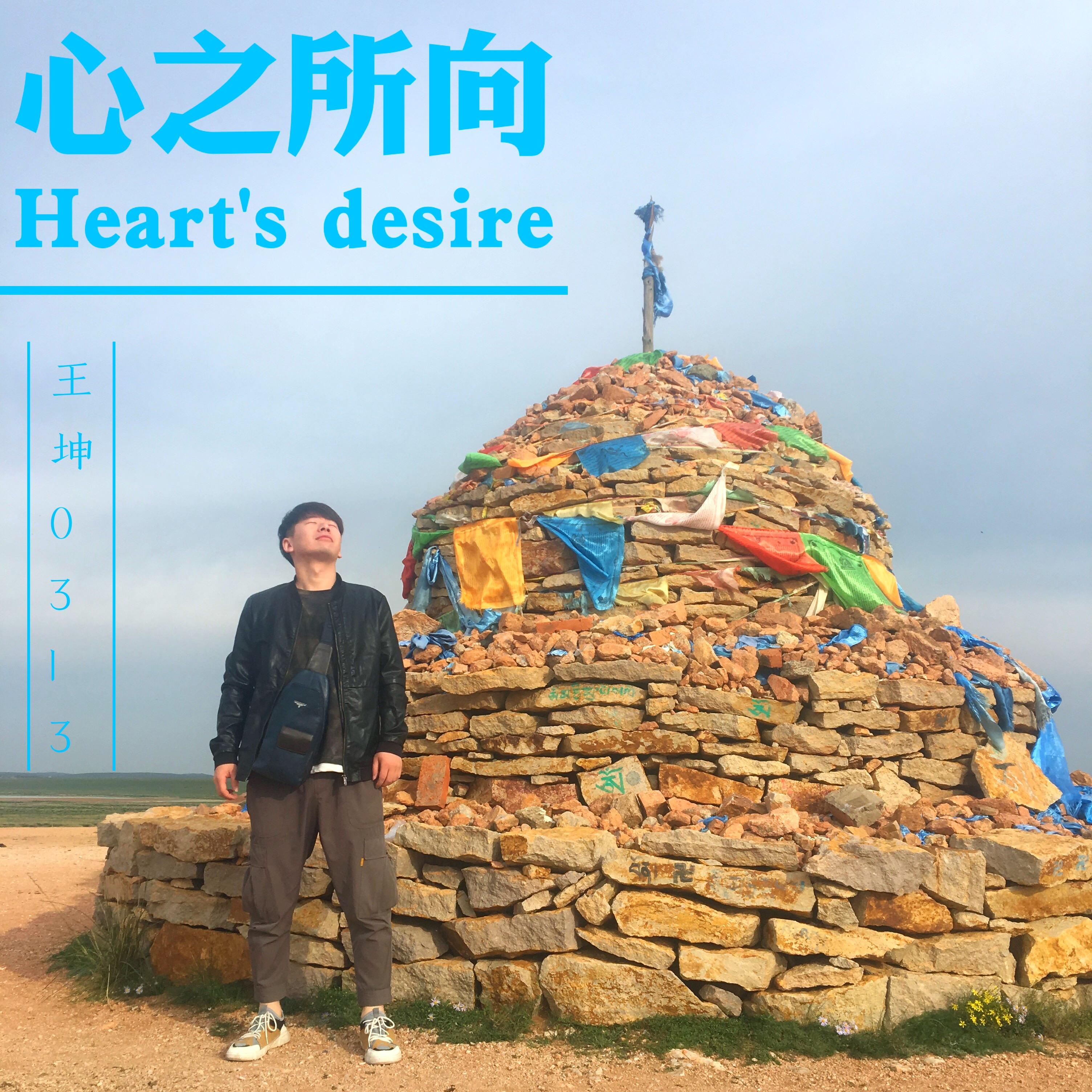 心之所向