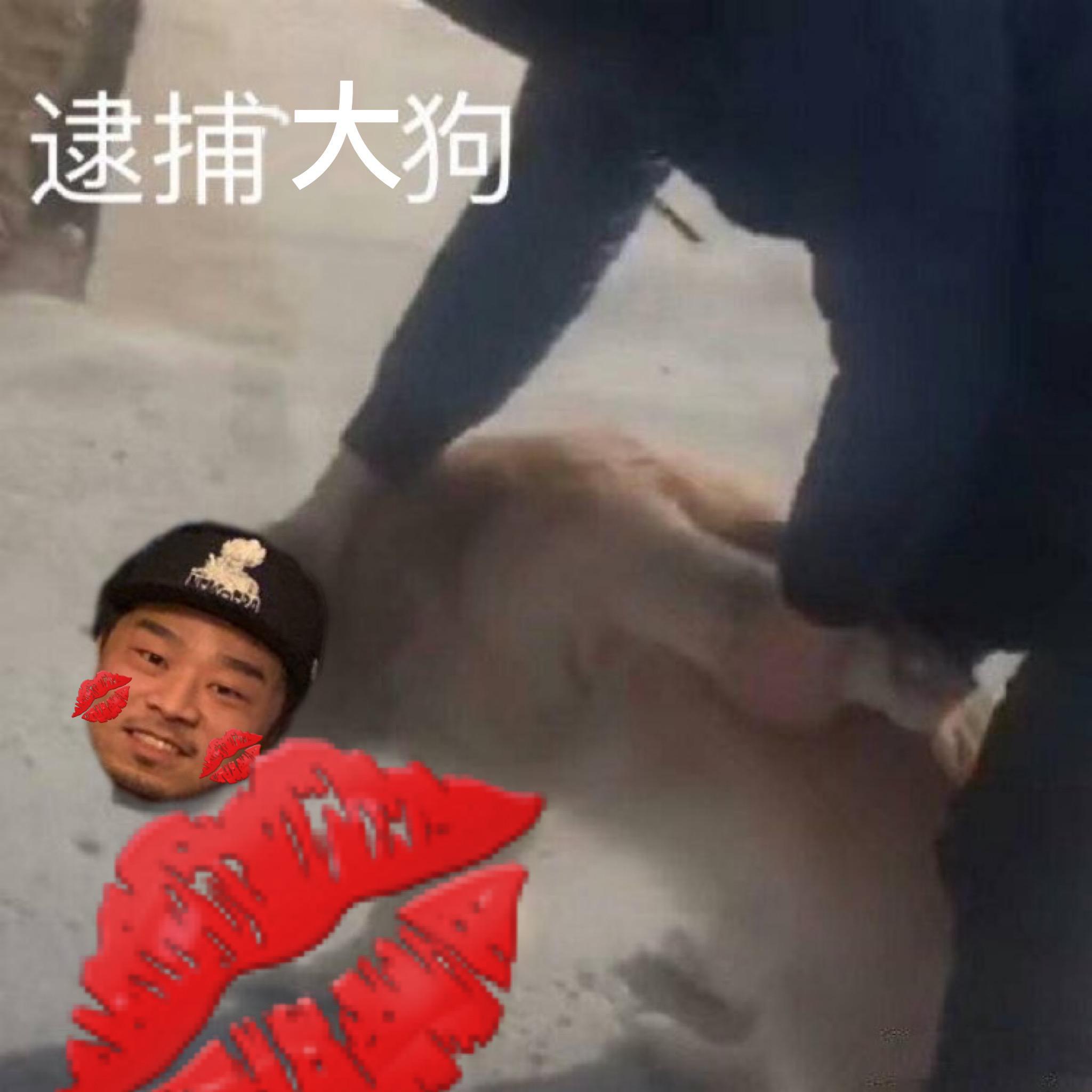 爱如大狗专辑