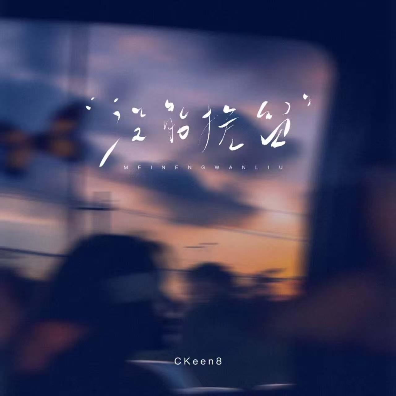 没能挽留专辑