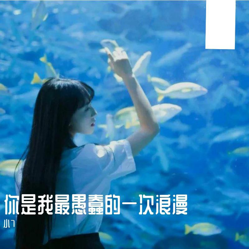 你是我最愚蠢的一次浪漫