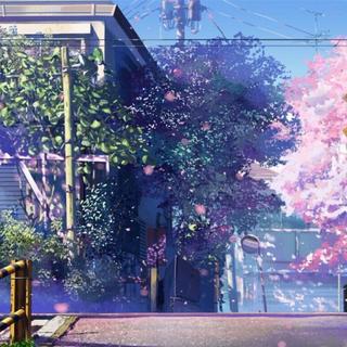 “富士山终究留不住欲落的樱花”