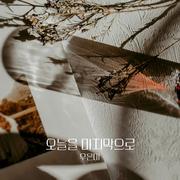 피도 눈물도 없이 OST Part.19