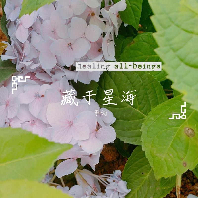 藏于星海（纯音乐版）