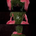 他 (Bonus Track)
