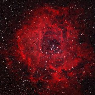 玫瑰往事•穿越五千光年去拥抱你