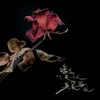 景域 - 暗恋是一个人的兵荒马乱(原版伴奏)