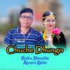 Purbanchal Music - Chuche Dhungo (feat. Rudra Shrestha & Apsara Bista)