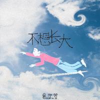 不想长大（SHE 男生版 伴奏）