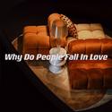 Why Do People Fall In Love