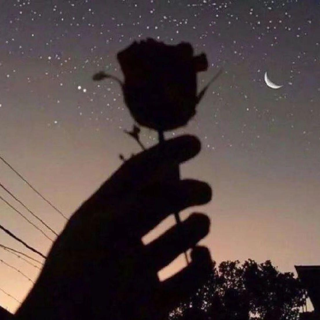 越南摇我先跳（Money摇）