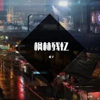 最后一次的温柔（2023时尚女嘉宾EDM电音舞曲资料） （嘉宾）