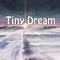 Tiny Dream专辑