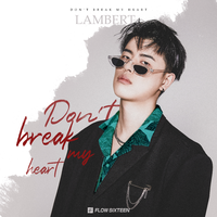 D Don;t Break My Heart女版