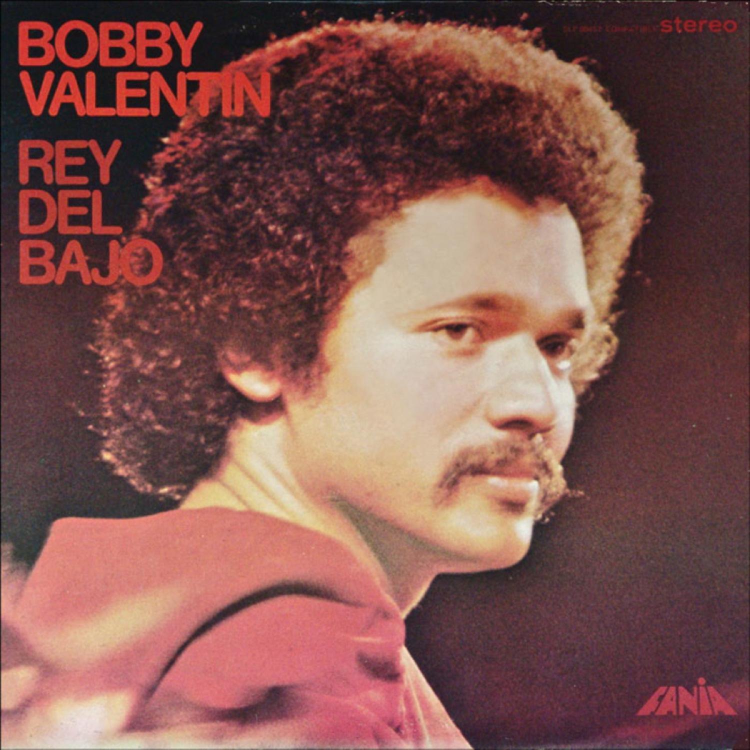 Rey Del Bajo