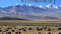 Tanggula in the Dream: Songs from Tibet, Vol. 1专辑