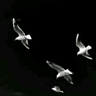 难过就躲网抑云_.