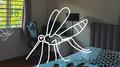 mosquitos in my room专辑