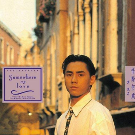 伤尽我心的说话 - 黄凯芹 - 单曲 - 网易云音乐