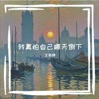 王彩翔 - 不爱我的理由 伴奏